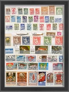 28x20 Black Shadow Box Frame - Shadow Box Frame Interior Size 28x20 by 1 Inches Deep - Black Frame is Made to Display Items Up to 1 Inches Deep Includes Shatter Resistant Acrylic, Backing, Hardware