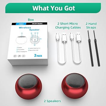 SEVENKA 2 Mini Hoparlör, Kayışlı 3 W Taşınabilir Küçük Hoparlör, Suya Dayanıklı, Kablosuz Stereo Eşleştirme, Telefon, Tablet, PC, Kamp, Yürüyüş için Şarj Edilebilir Metal Mini Bluetooth Hoparlörler