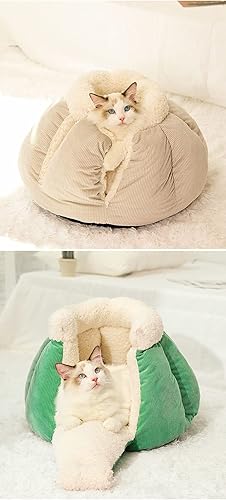 Miniatura 7 de Arena para gatos con forma de calabaza, mantiene el calor en invierno, cama cerrada para gatos, arena semicerrada para mascotas (22 libras, verde)