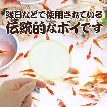Amazon | 日本製 ポイ 6号 200本入 【 金魚すくい スーパーボール