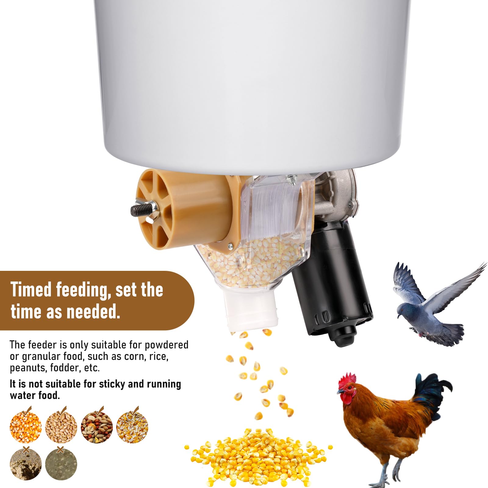 Mangeoire automatique pour poulets et canards - Idéal pour les poulets, canards, oies, pigeons, chiens, poissons, chats