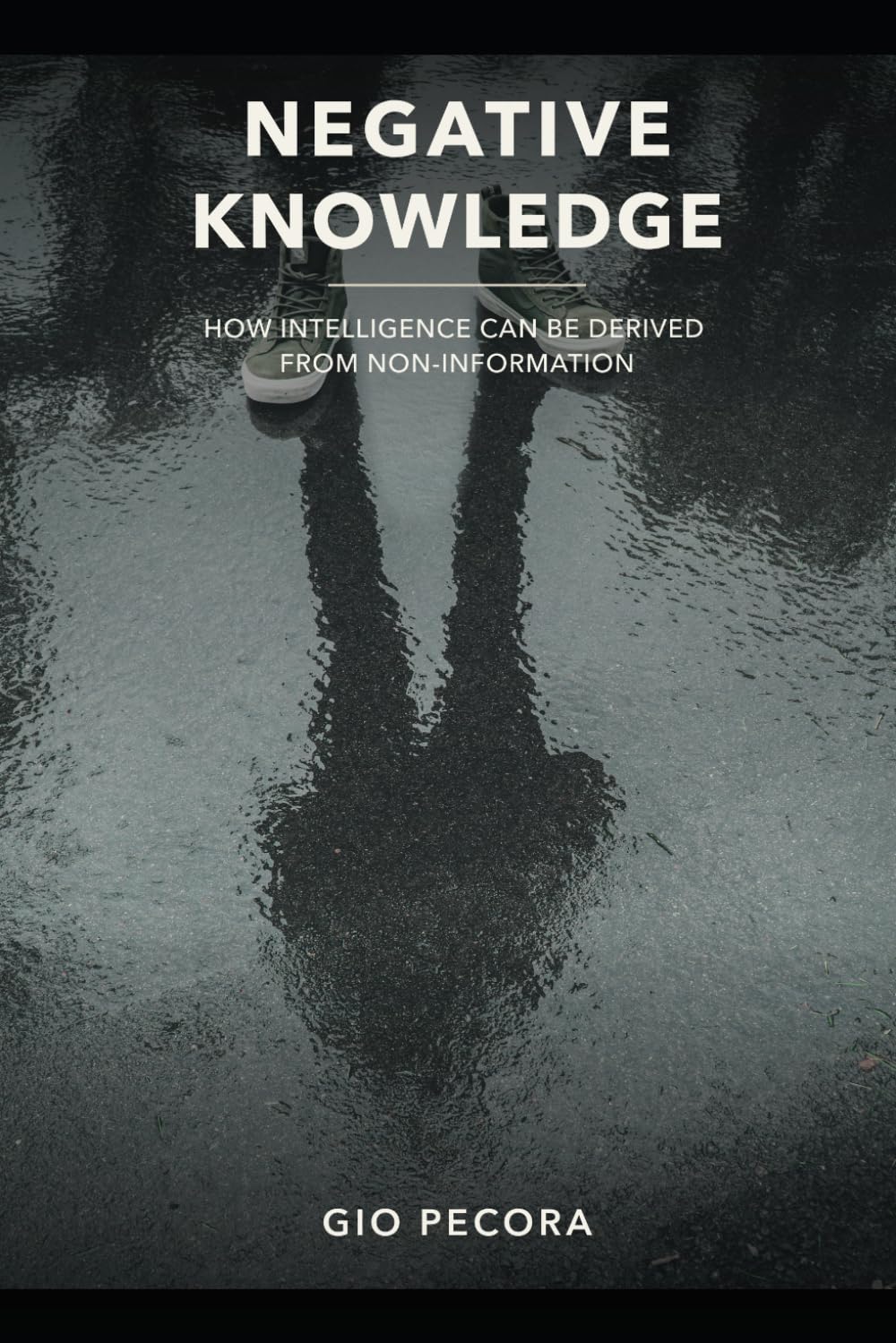 NEGATIVE KNOWLEDGE: HOW INTELLIGENCE CAN BE DERIVED FROM NON-INFORMATION