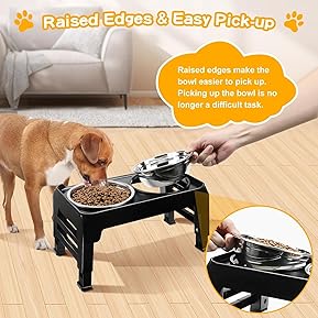 Best Elevated Dog Bowls for French Bulldogs 4 71Haj1NjSvL. AC SL289