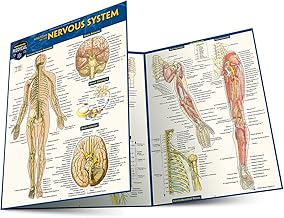 Anatomy of the Nervous System: a QuickStudy Laminated Reference Guide