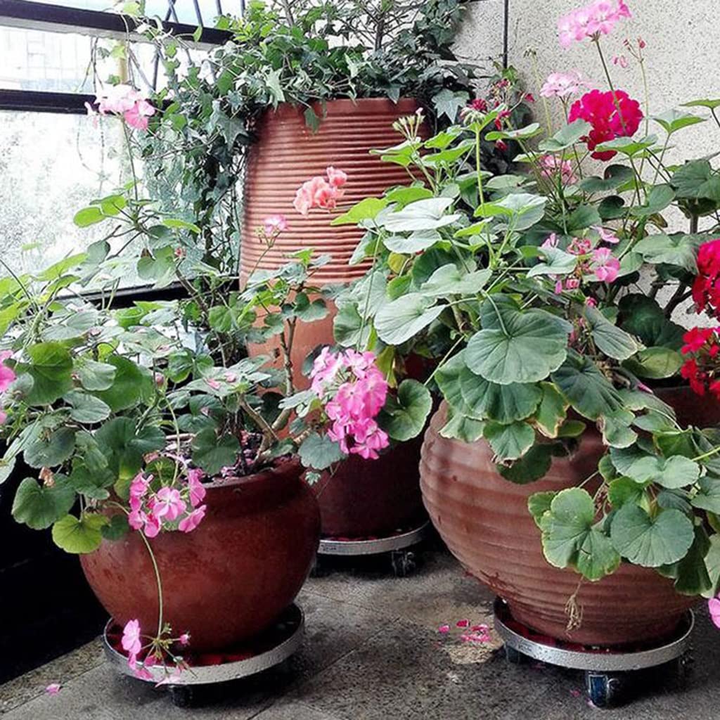 Carrello per piante resistente con ruote, 25,4 cm, per vasi grandi, vassoio circolare mobile per fioriere da giardino