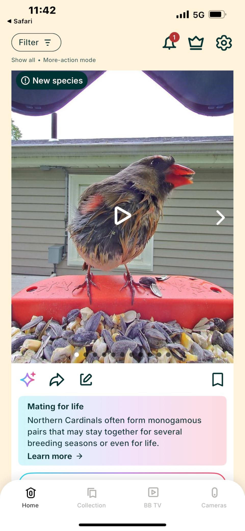 Kaytee Nut & Fruit Wild Bird Seed, 5 lb photo review