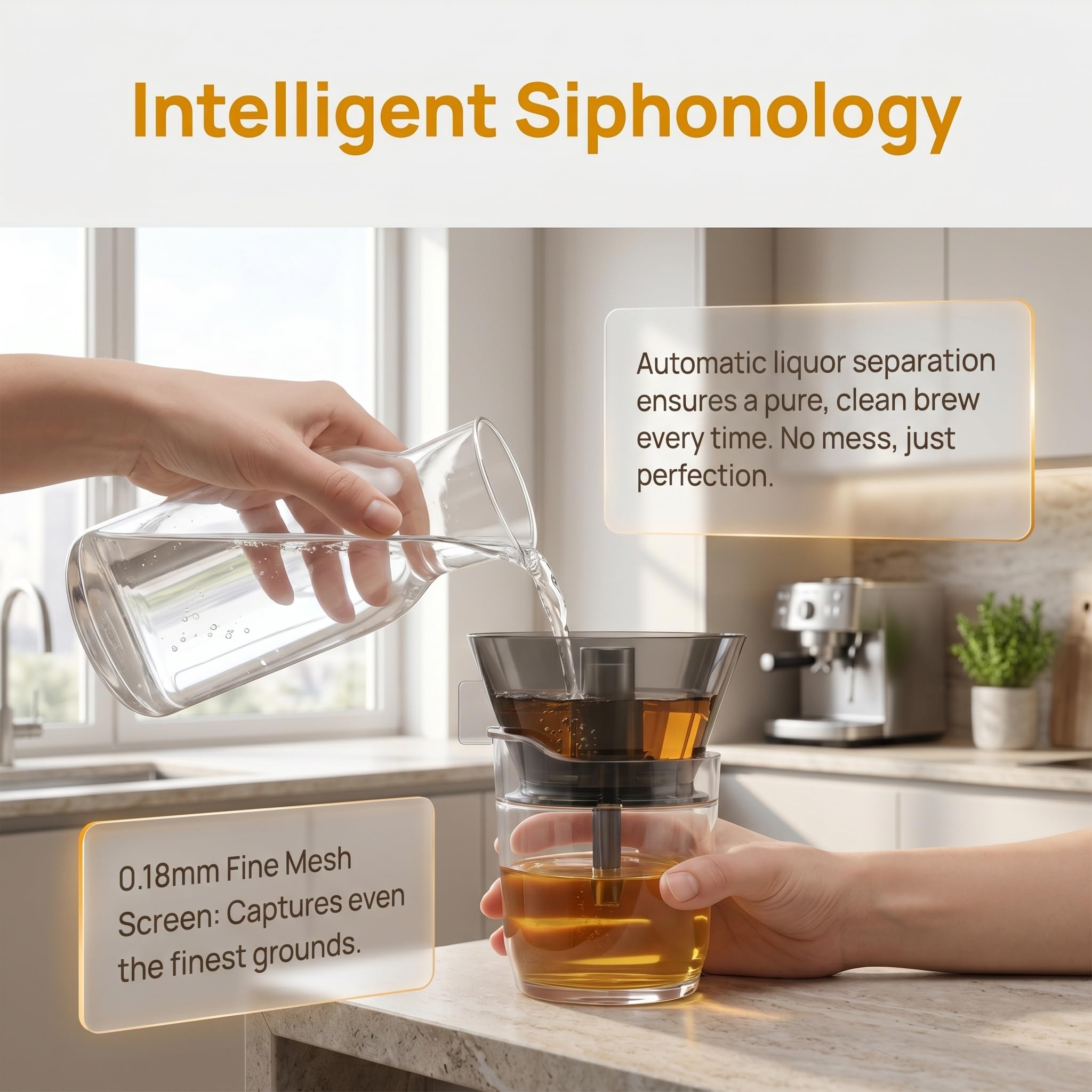 Infusore per tè E caffè A Sifone, Bollitore Trasparente da 280 Ml con Filtro in Acciaio Inox 316, Separazione Automatica del Liquido, Ideale per Preparare tè Sfuso A Casa, in Ufficio O in