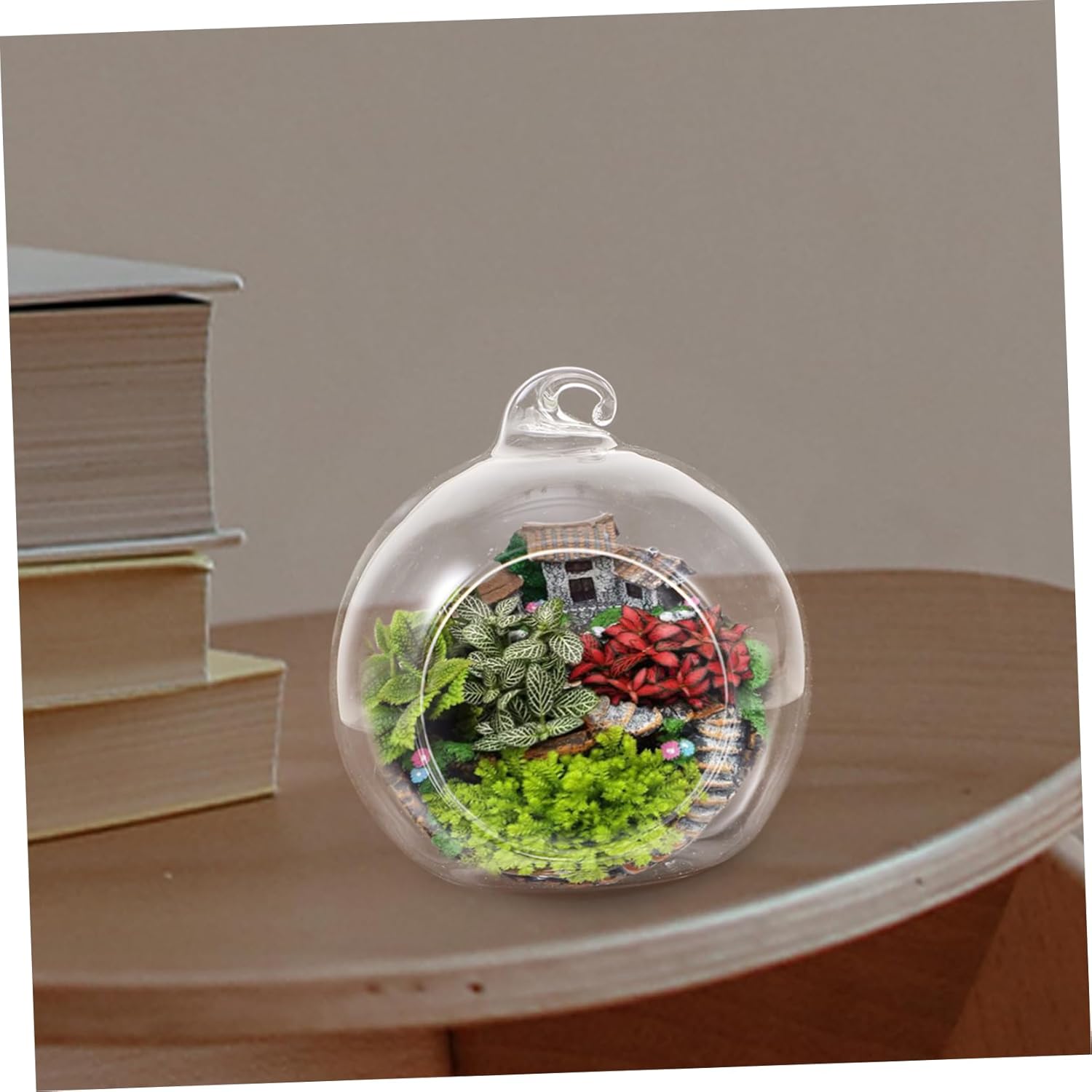 DECHOUS 12pcs Globe Terrarium Air Plants Holder Glass Hanging Planter Home Office Decor