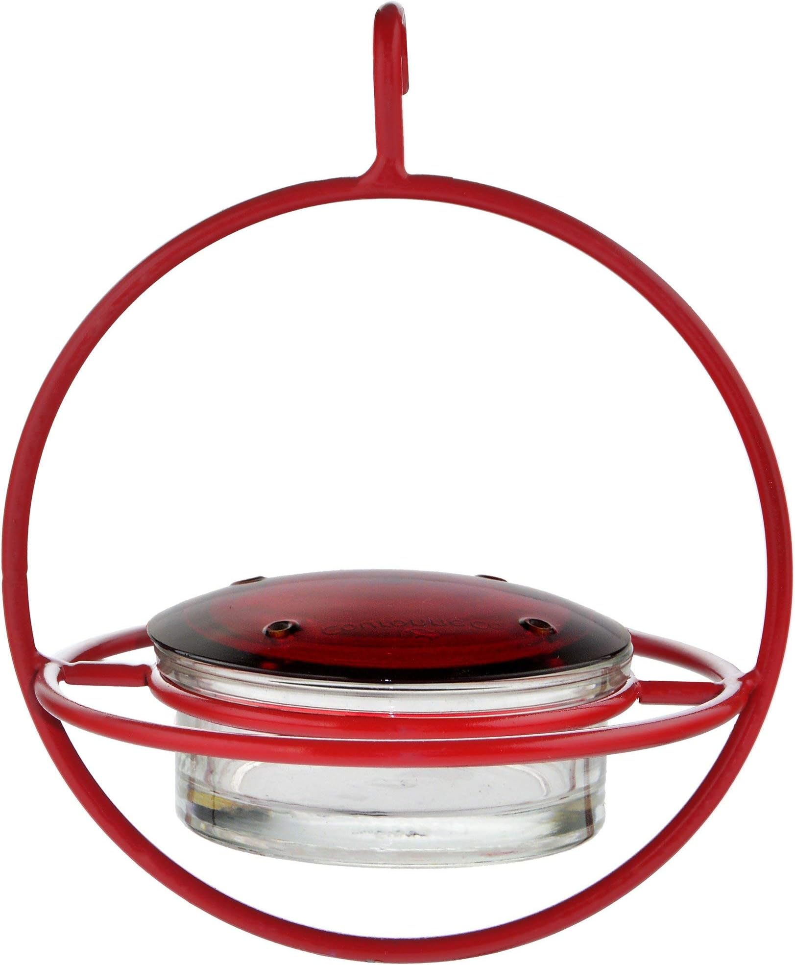 Best Small Glass Hummingbird Feeder with Red Perch - New Bee & Wasp Proof Design - Hummers Love This Feeder!