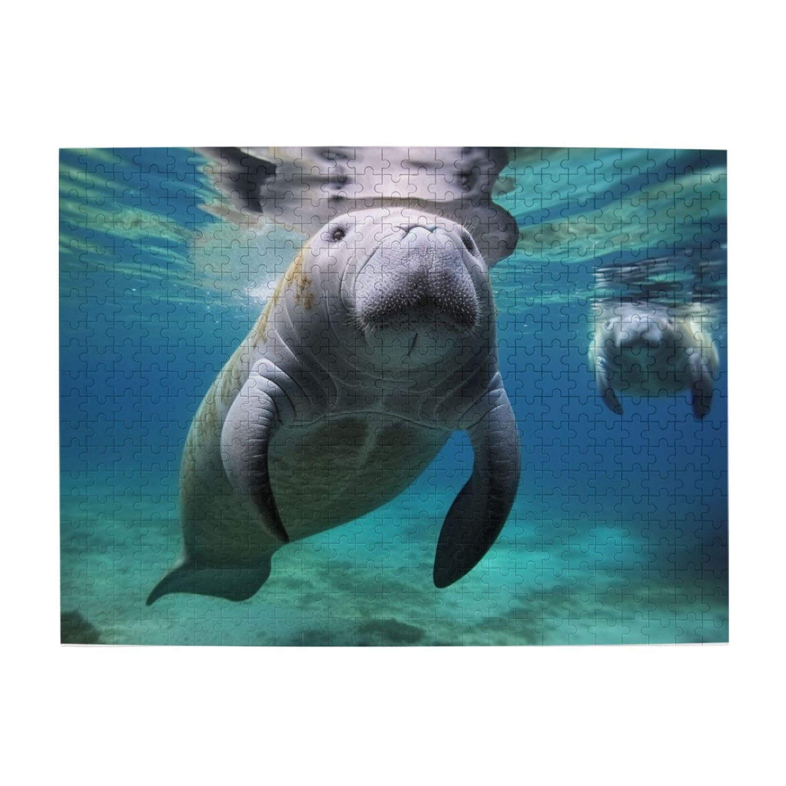 Amazon.com: Ocean Animal Manatee Puzzles 500 Pieces Personalized
