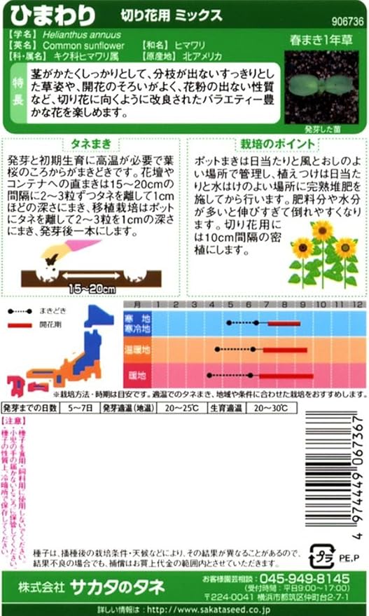 Ginger掲載商品 種子 ひまわり ビンセント R ミックス サカタのタネ 22 10 花粉が出ないので切り花におすすめ ゆうパケット便可能