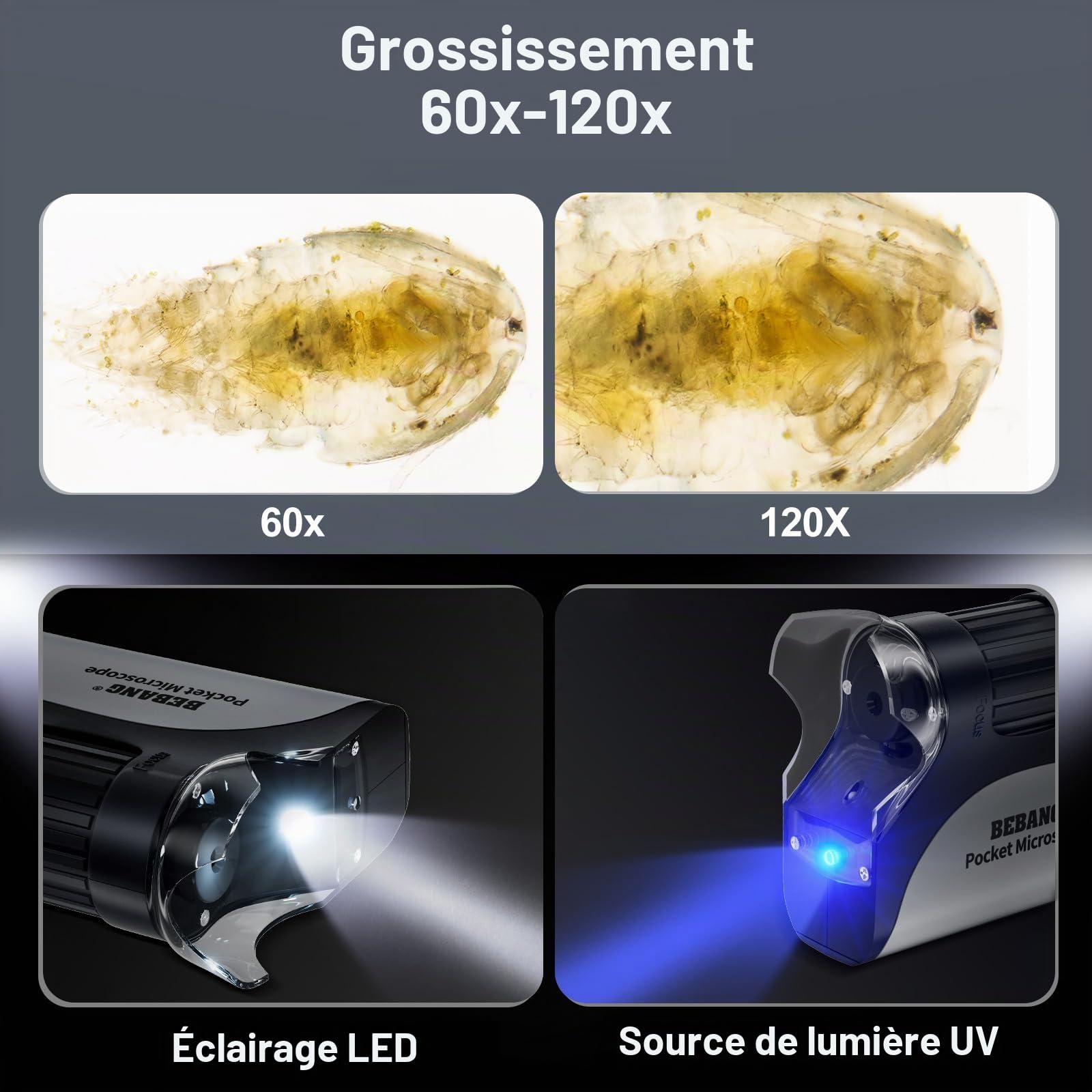 BEBANG Microscope de Poche Portable 60x~120x pour Enfants avec Zoom éclairé par LED, Microscope Portable pour Enfants, étudiants, Adultes (Noir (60X-120X))