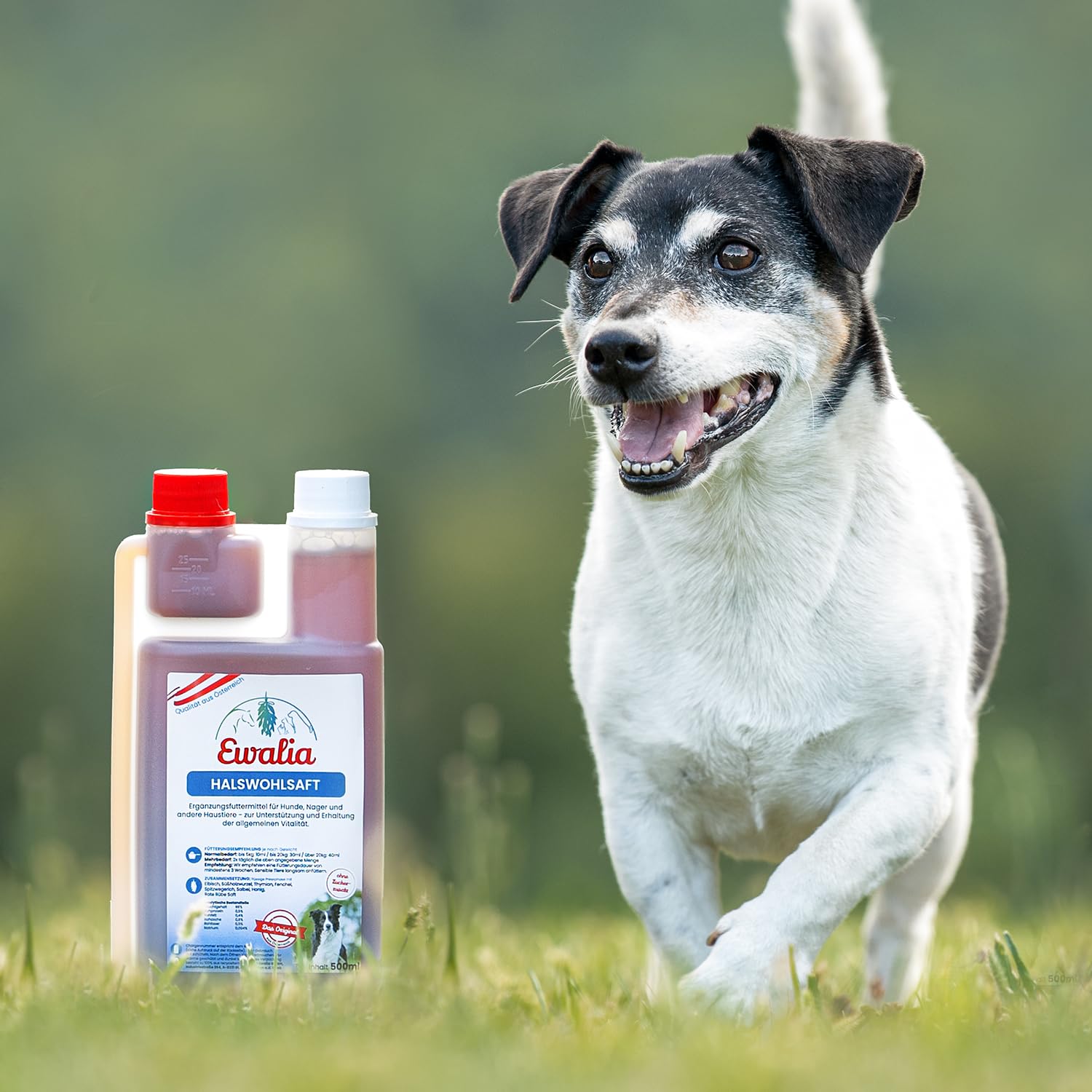Ewalia Zumo de cuello para mascotas, 500 ml.