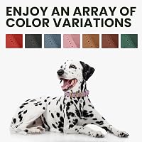 BRONZEDOG Bőr Nyakörv QR Azonosítóval, Állítható Puha Kerek Nyakörv Kutyáknak Macskáknak 40-48cm Piros 6