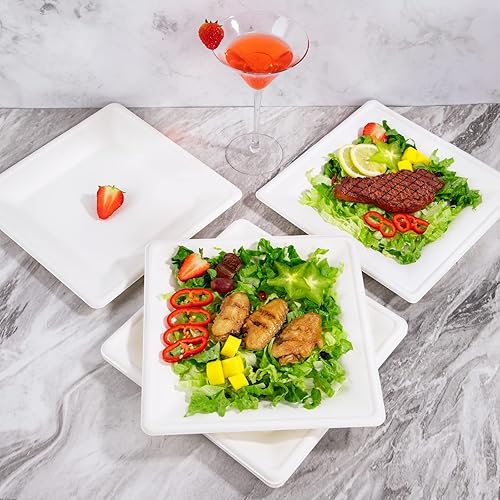 Miniatura 7 de SUT Platos de papel compostables de 10 pulgadas, 100 platos cuadrados biodegradables de bagazo, platos resistentes para microondas, platos