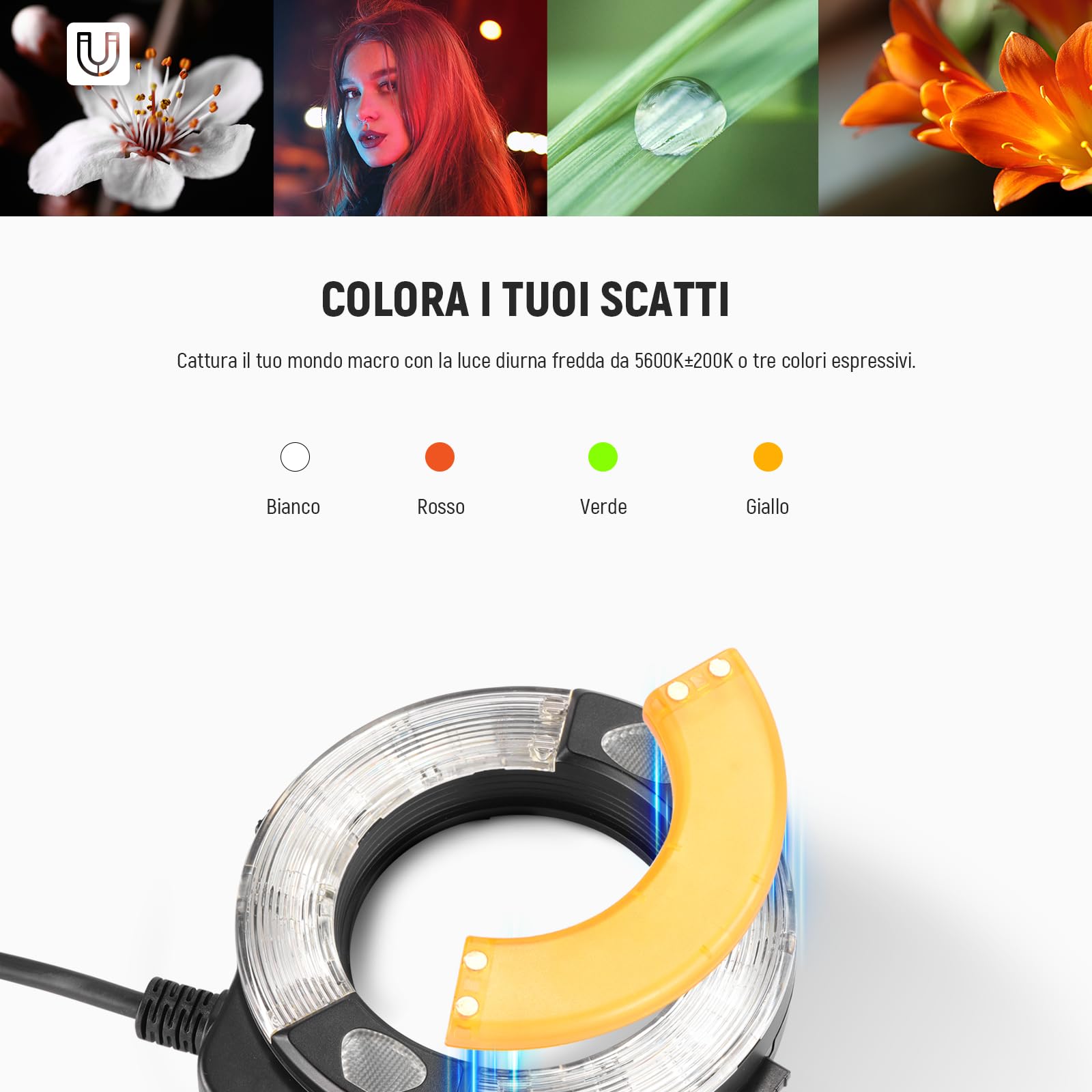 NEEWER RF1-S TTL Marco Ring Flash Light Compatibile con Sony, 76Ws GN15 5600K Uscita 1-1/128 Sync Tendina Anteriore/Posteriore, Gel Colorato/Anelli Adattatori, Speedlite per Servizi Fotografia Macro