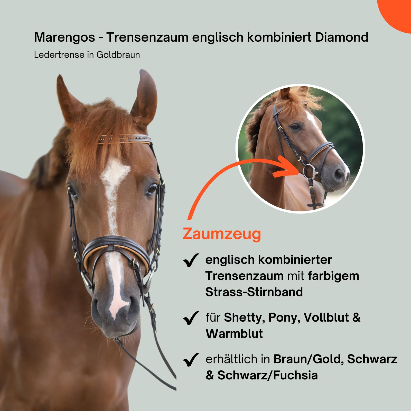 Marengos - Trensenzaum englisch kombiniert Diamond Braun/Gold Pony