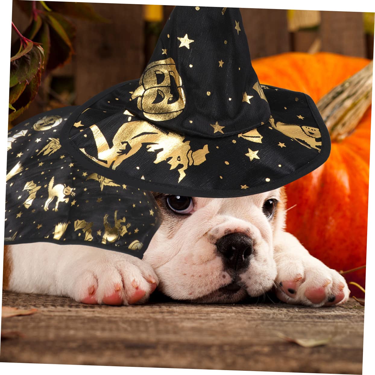 FRCOLOR 5 Set Stampato Mantello Da Mago Costume Per Il Gatto Mantello Da Strega Piccolo Cane Halloween Costume Del Cane Vestiti Dell'Animale Domestico Di Halloween o Del
