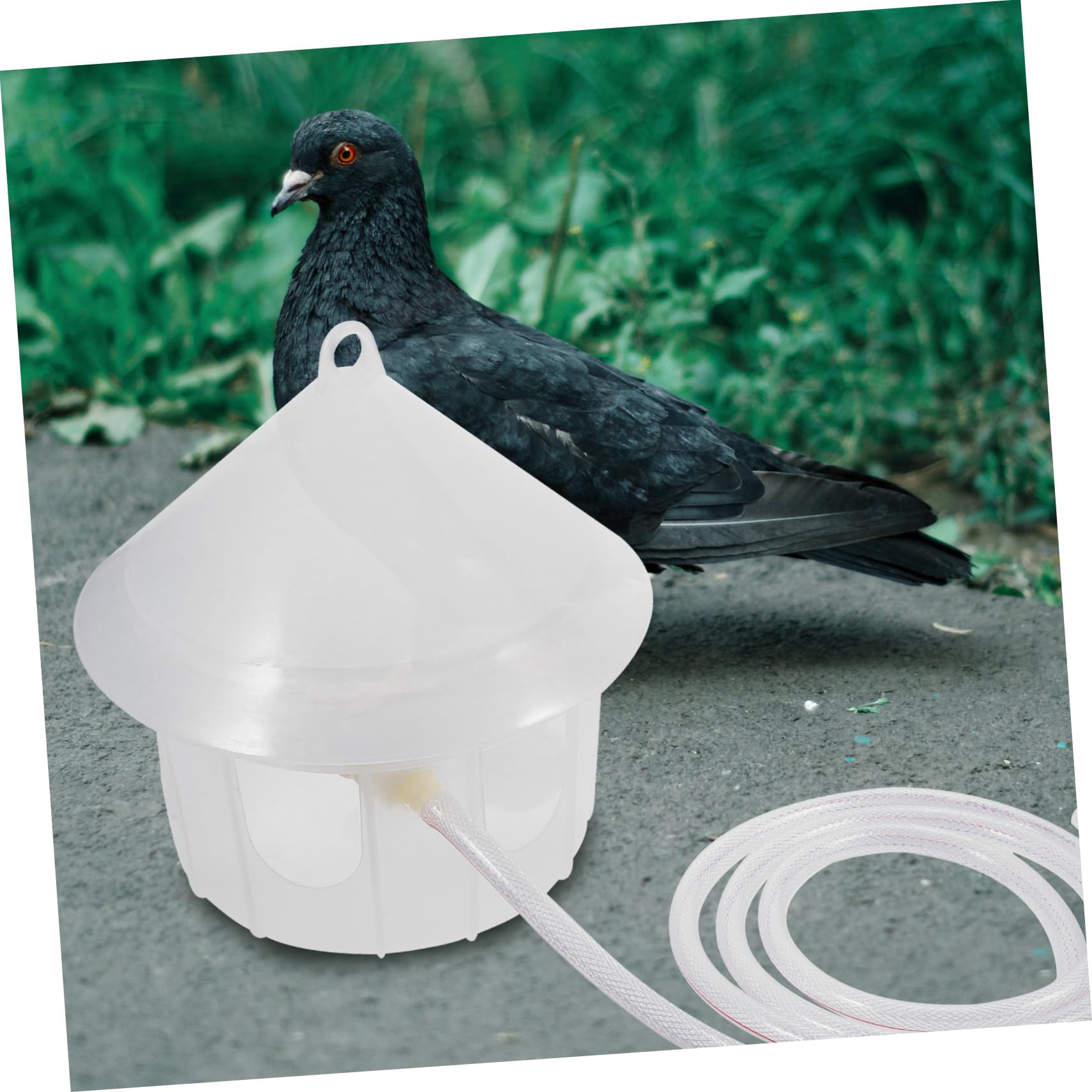HANABASS Bebedero para Palomas Dispensador Automático De Agua Comedero De Plástico para Pájaros para Uso Jaulas y Exteriores Recipiente para Aves