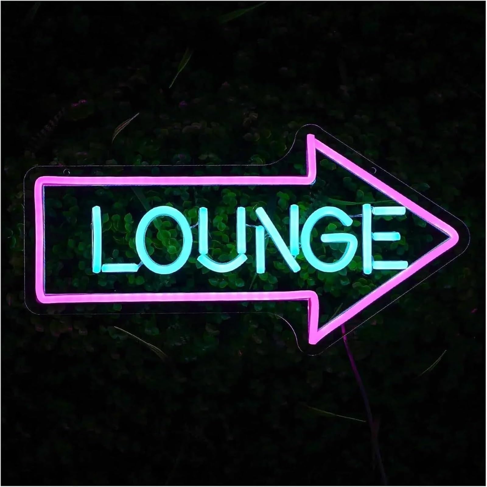 Lampada al neon Insegna luminosa al neon con la scritta Lounge utilizzata per decorazioni murali di uffici, hotel e bar, 21,8×42 cm