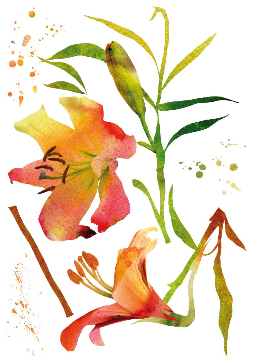 Sticker aquarelle fleurs Crearreda CR-57718 aux finitions artistiques haute définition