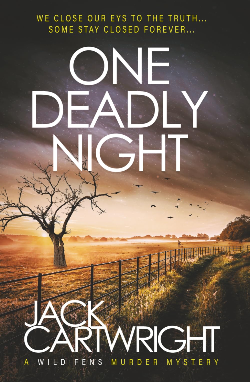 One Deadly Night: A British Murder Mystery (The Wild Fens Murder Mystery Series)