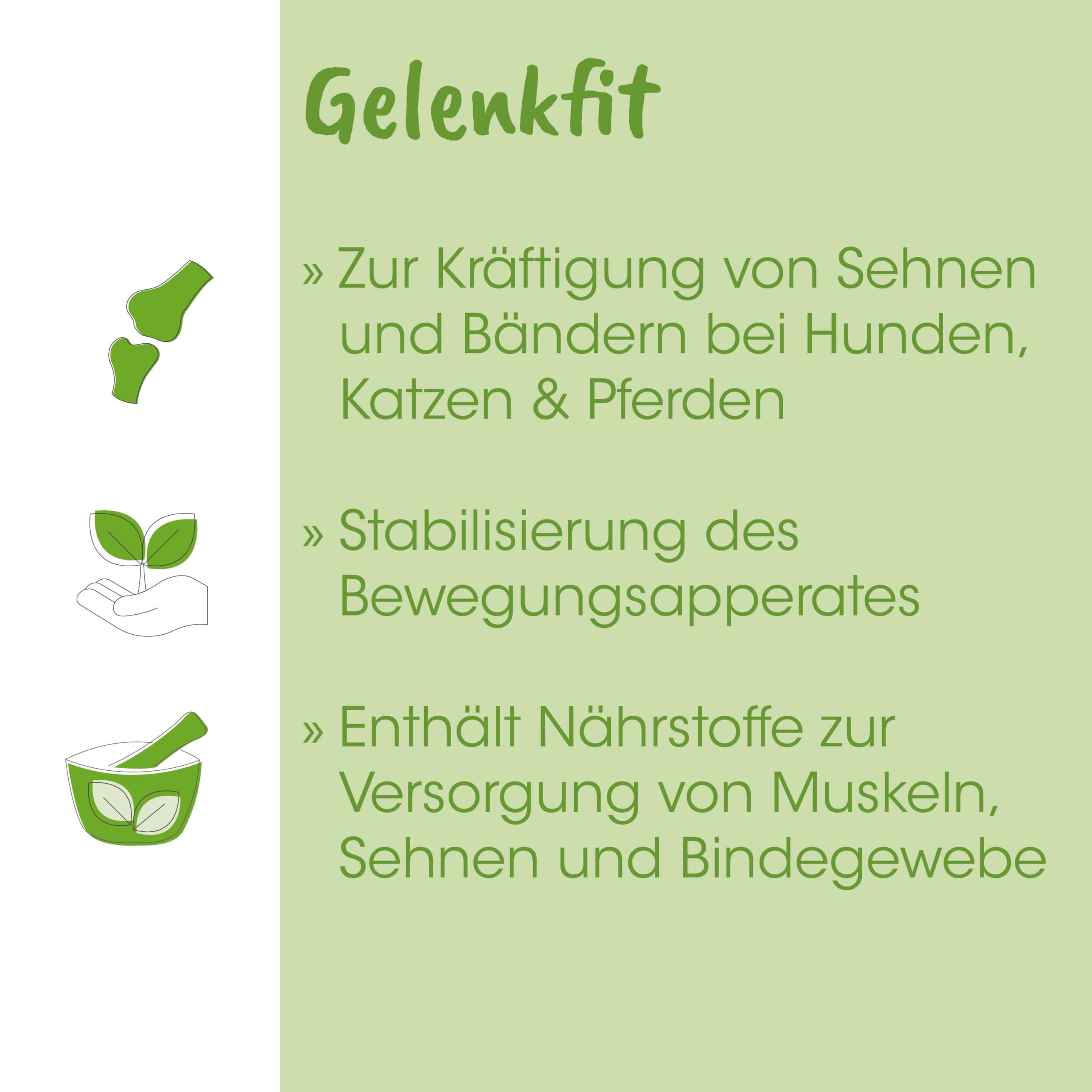 cdVet Natural Products ArthroGreen Jointfit 70 g – wspiera dietetyczne wsparcie układu mięśniowo-szkieletowego – wspomaga zaopatrzenie więzadeł, ścięgien i tkanki łącznej -