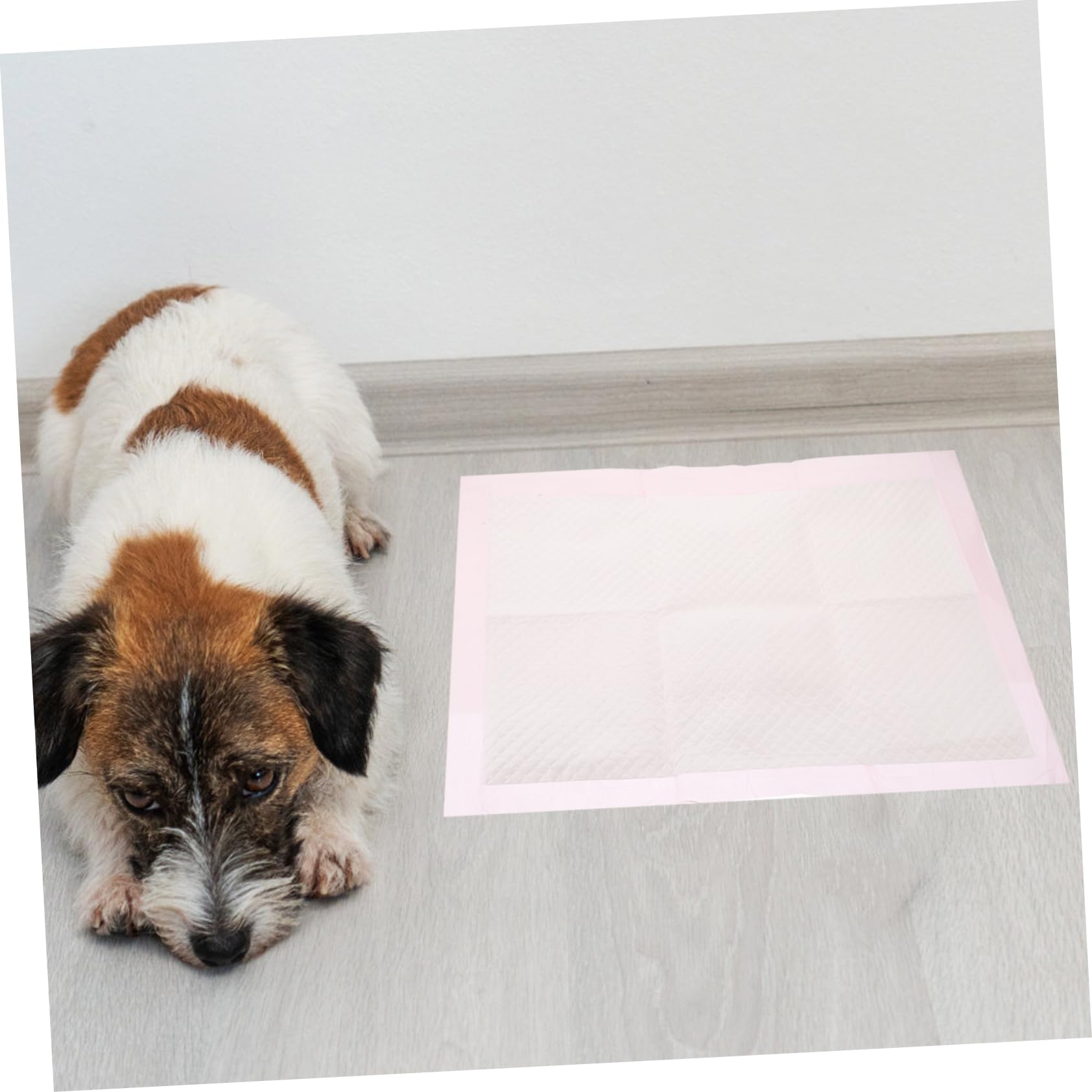 100stücke Einweg-hundepads Für Hunde Saugfähige Trainingspads Welpenpads -Pads Für Kleine Haustier-Pads Töpfchenpads Trainingpads Für Haustiere