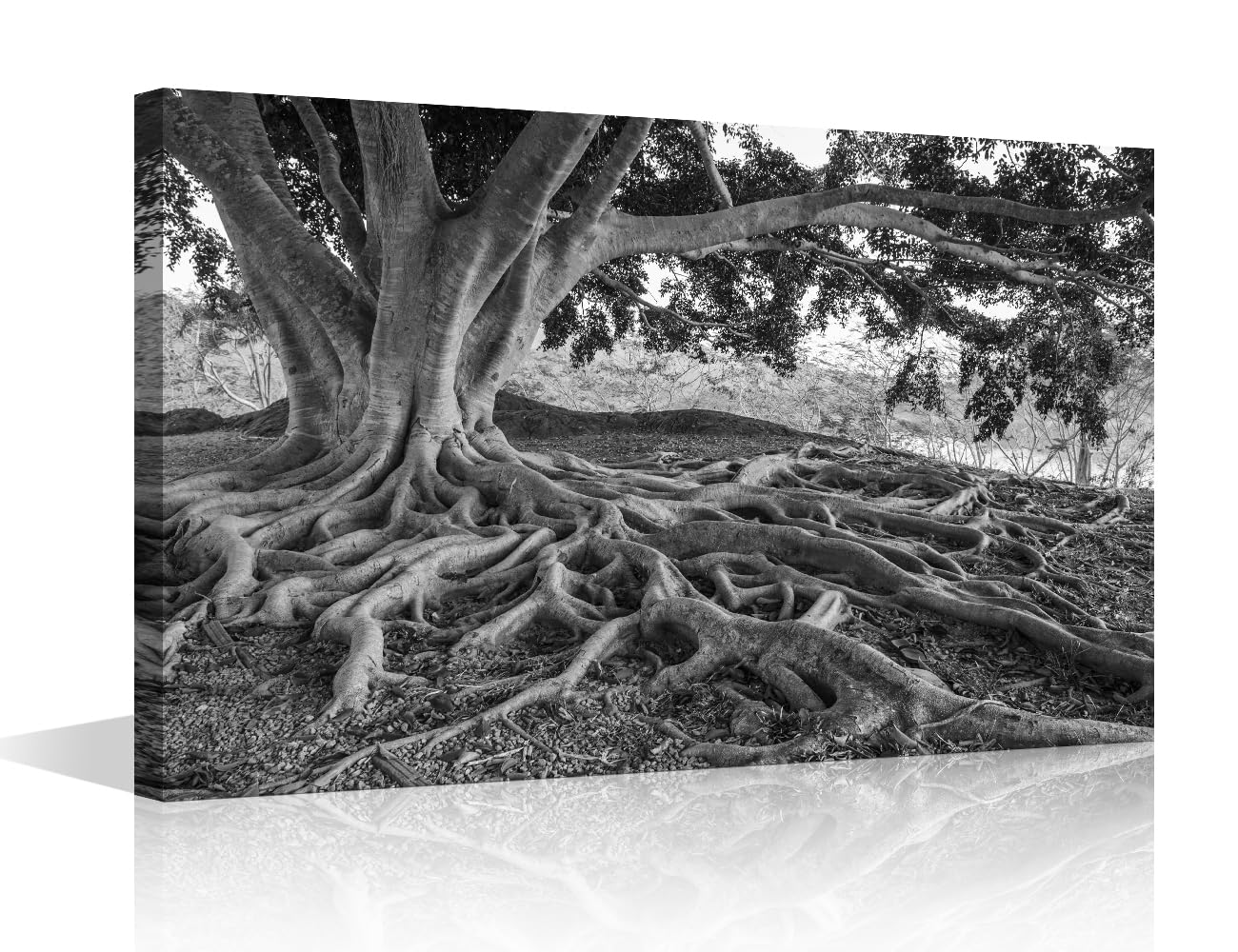Black and White Canvas Wall Art for Bedroom Big Tree Root Wall Paintings for Living Room Natural Landscape Office Modern Wall Art Pictures Print On Canvas Giclee Framed Ready to Hang