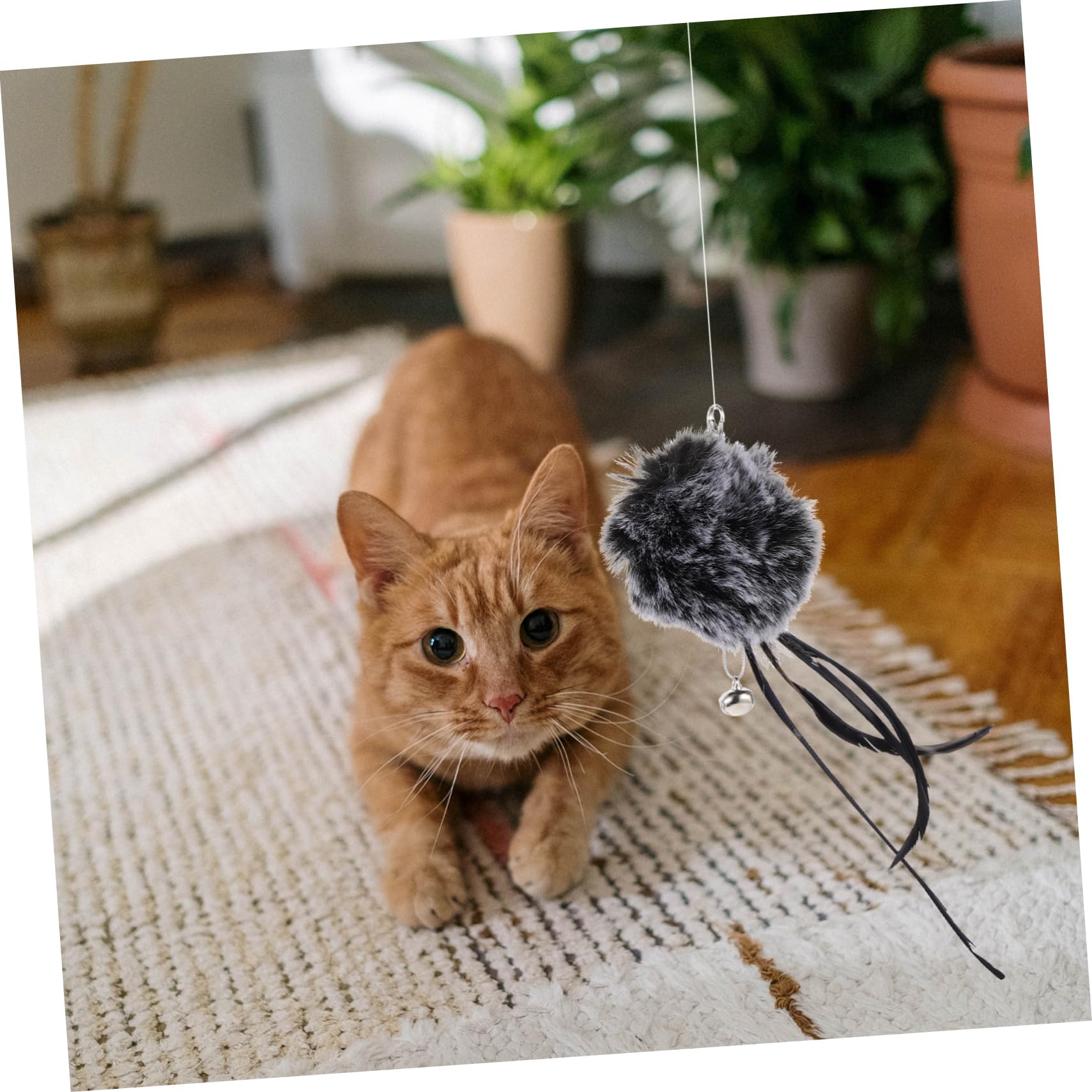 VANZACK 30stücke Katzenangel Ersatzteile Teiliges Für Innenkatzen Interaktives Spielzeug Für Katzen Fördert Bewegung Und Spielvergnügen