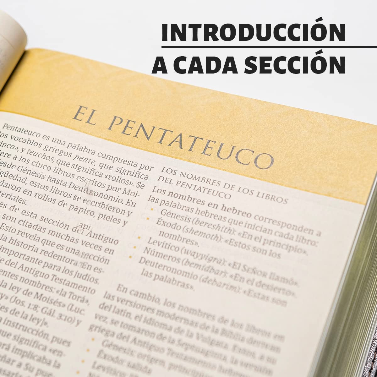 RVR 1960 Biblia temática de estudio, marrón oscuro/marrón pi: RVR 1960 Biblia temática de estudio, marrón oscuro, marrón piel ... Study Bible Dark Brown Imitation leather