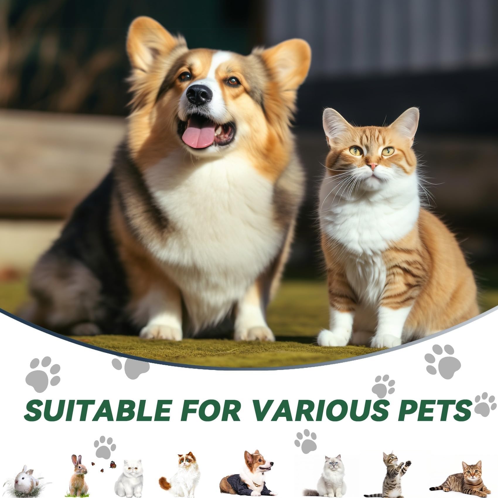 Corralito plegable 6 en 1 para gatos y animales pequeños, espacio de juego portátil para hurones, cachorros y conejos
