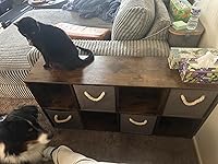 Review Image by Susan V. Susan V.