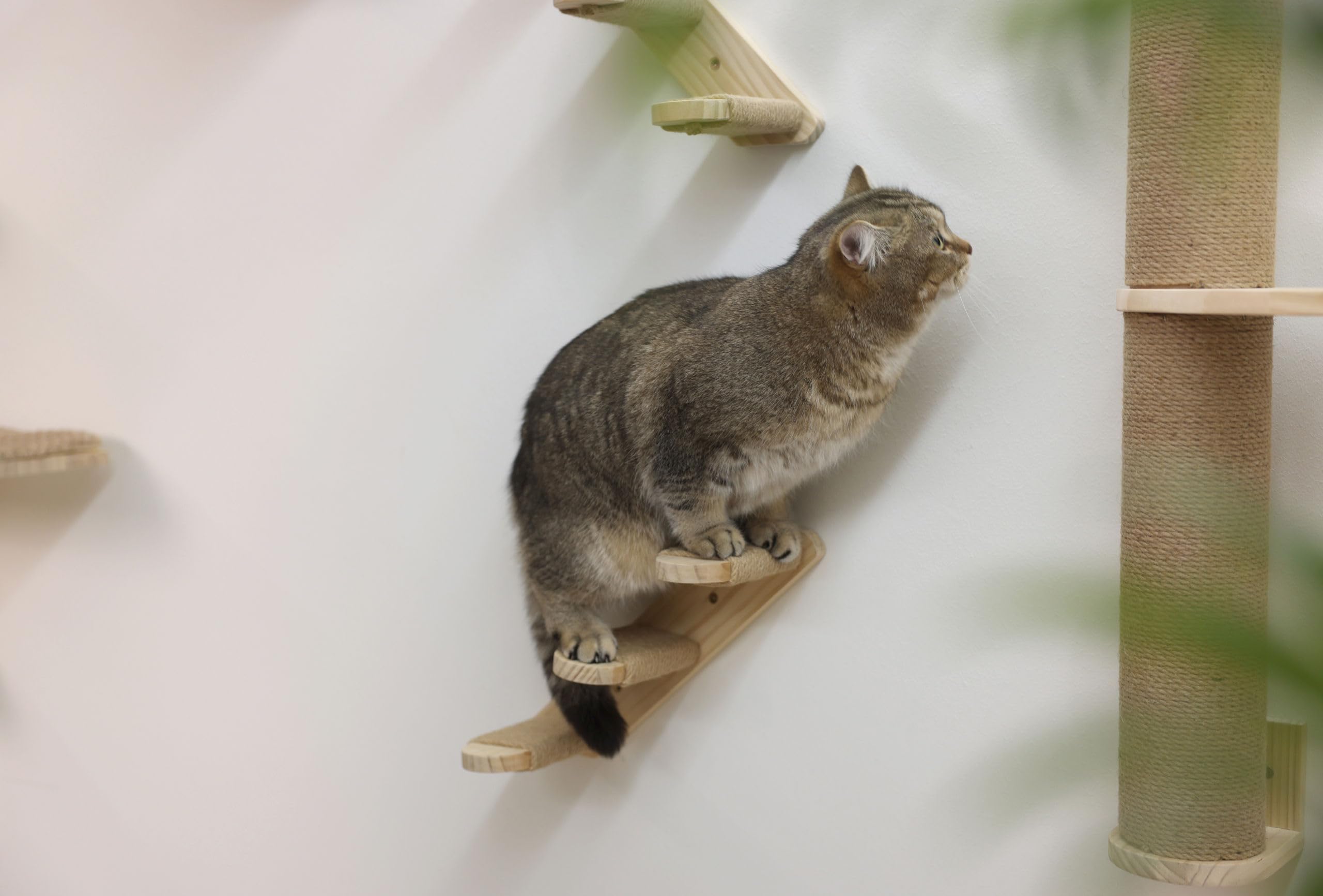 Drabina dla kota Timber, długość 38 cm, z jutą | Naturalny, 38 × 16,5 cm, drewno z naturalną jutą, możliwość montażu po obu stronach i obciążenie do 6 kg