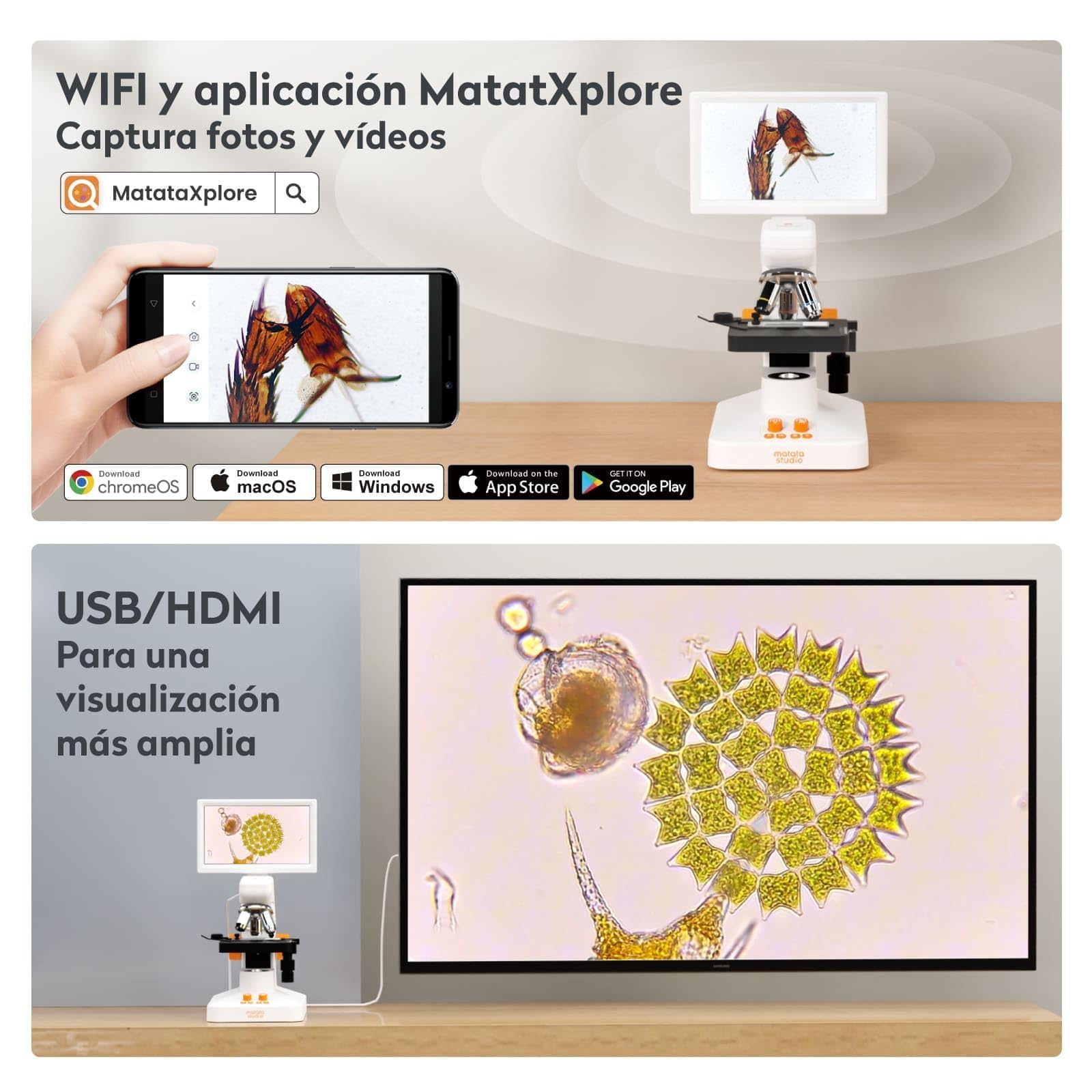 Microscopio Niños Adultos, MatataStudio MT3-4 1200x Microscopio Digital USB con Pantalla 1080P de 7" Calibrador Vernier Portaobjetos 5MP COMS Microscopios Biológico Profesional para Lab y Escolar
