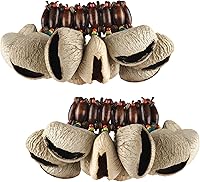 Vista 10 de Pulsera tobillera con sonajero de semillas de Cacho, 2 PCS pulsera africana shaker de cáscara de nuez, accesorios de percusión natural, instrumento