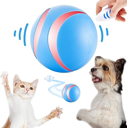 remote control ball dog toy