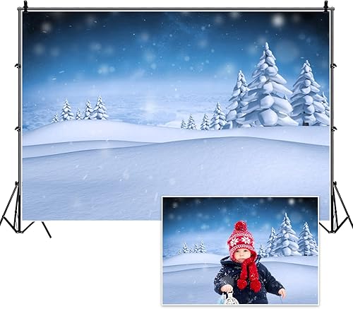 Miniatura 5 de Renaiss Telón de fondo de fotografía de paisaje de campo de nieve de invierno de 12 x 8 pies, fondo de nieve azul con copo de nieve borroso, escena