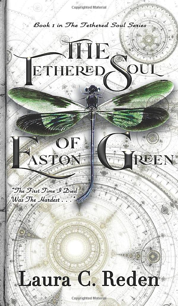 Buy The Tethered Soul of Easton Green: The Tethered Soul Series — BookShops.in