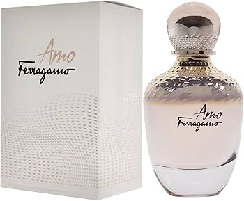 Amazon.com: Salvatore Ferragamo Amo Ferragamo for Women 3.4 oz Eau