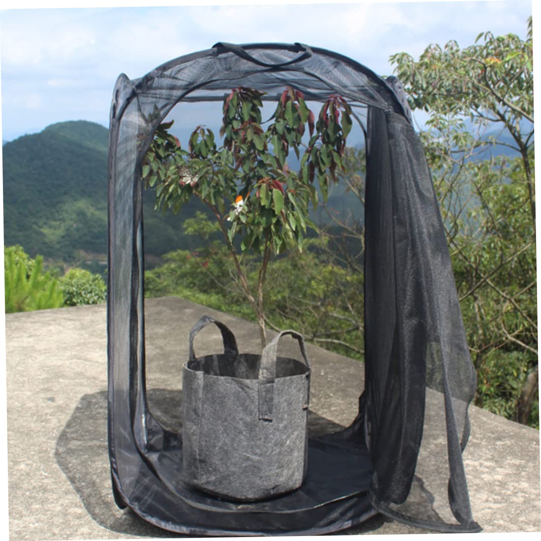 Cage Papillon 16x16x24inch Maison Transparente Pliable avec Fermeture éclair