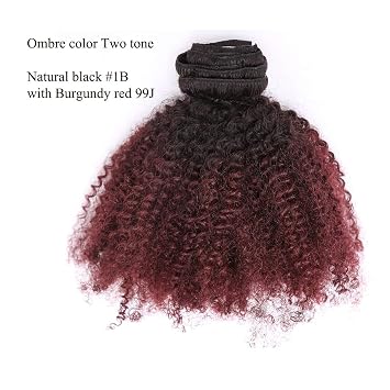 Loxxy Kinkys Afro Kinky Clip In Hair Extensions 4A 4B Virgin Natural Hair Ombre For Black Women Full Head #1b/99j AC 16 Inch