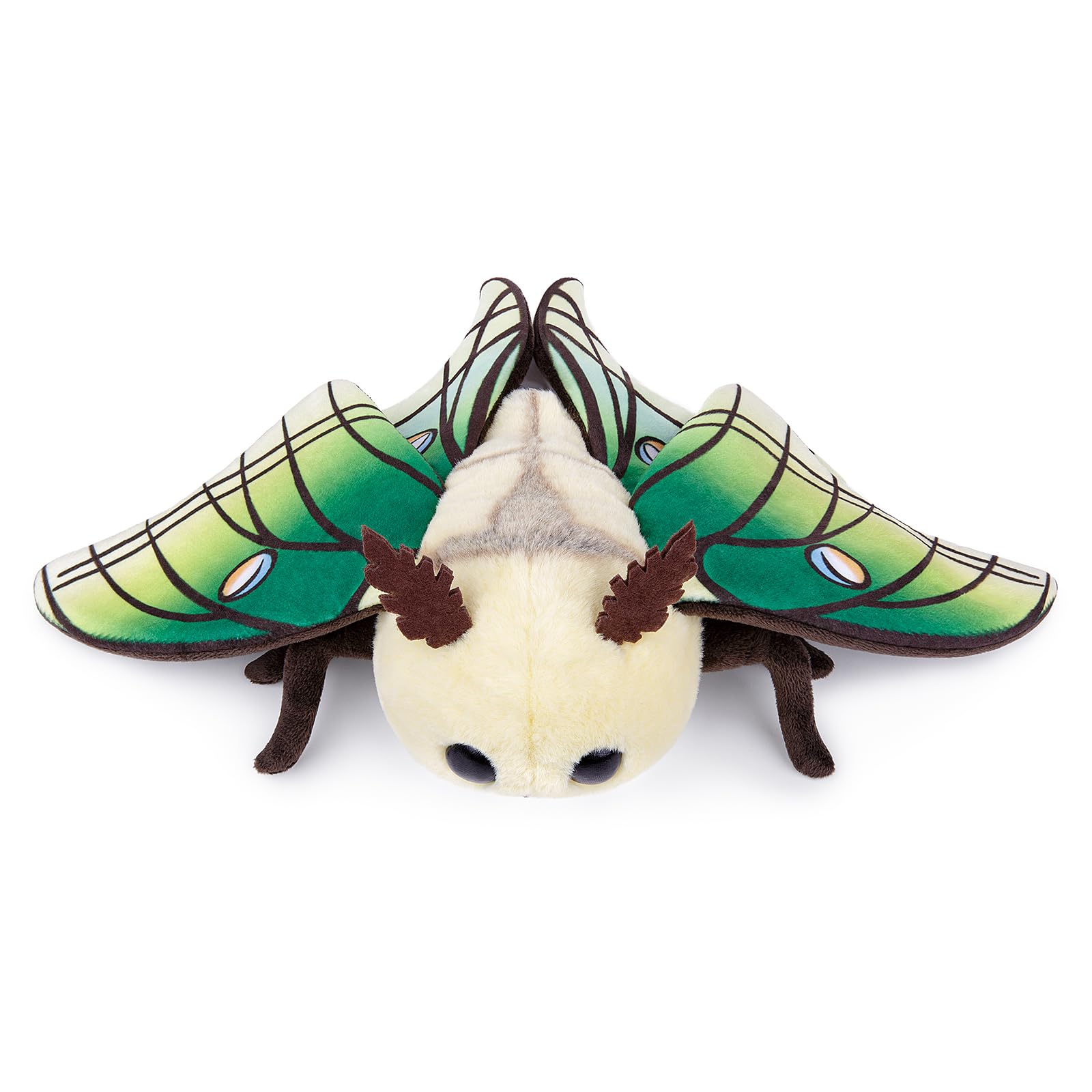 lilizzhoumax Cute Green leaf moth Plush Toy 10.62inch Soft Realistic Green leaf moth Stuffed Animal for Kids Insect lovers Boys and Girls Gifts Home Decoration green — view 2