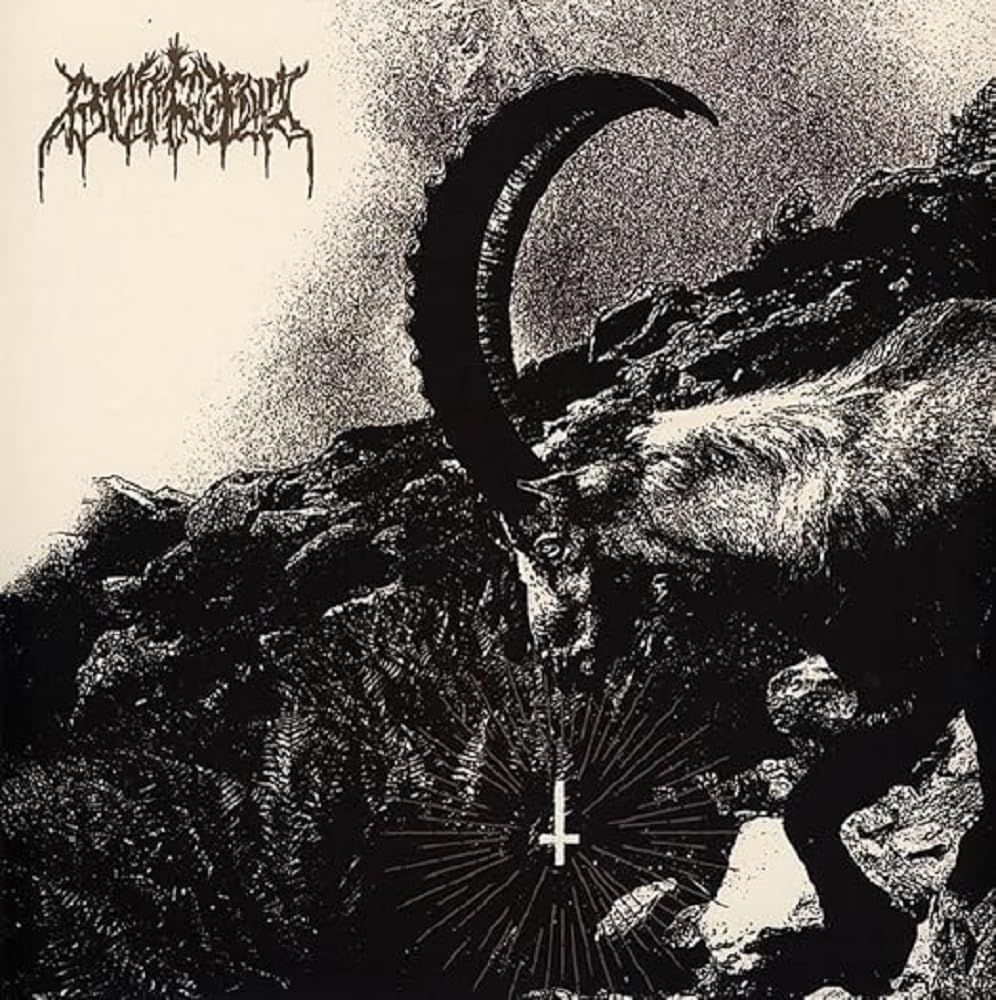 REJOICE IN SIN [VINYL]