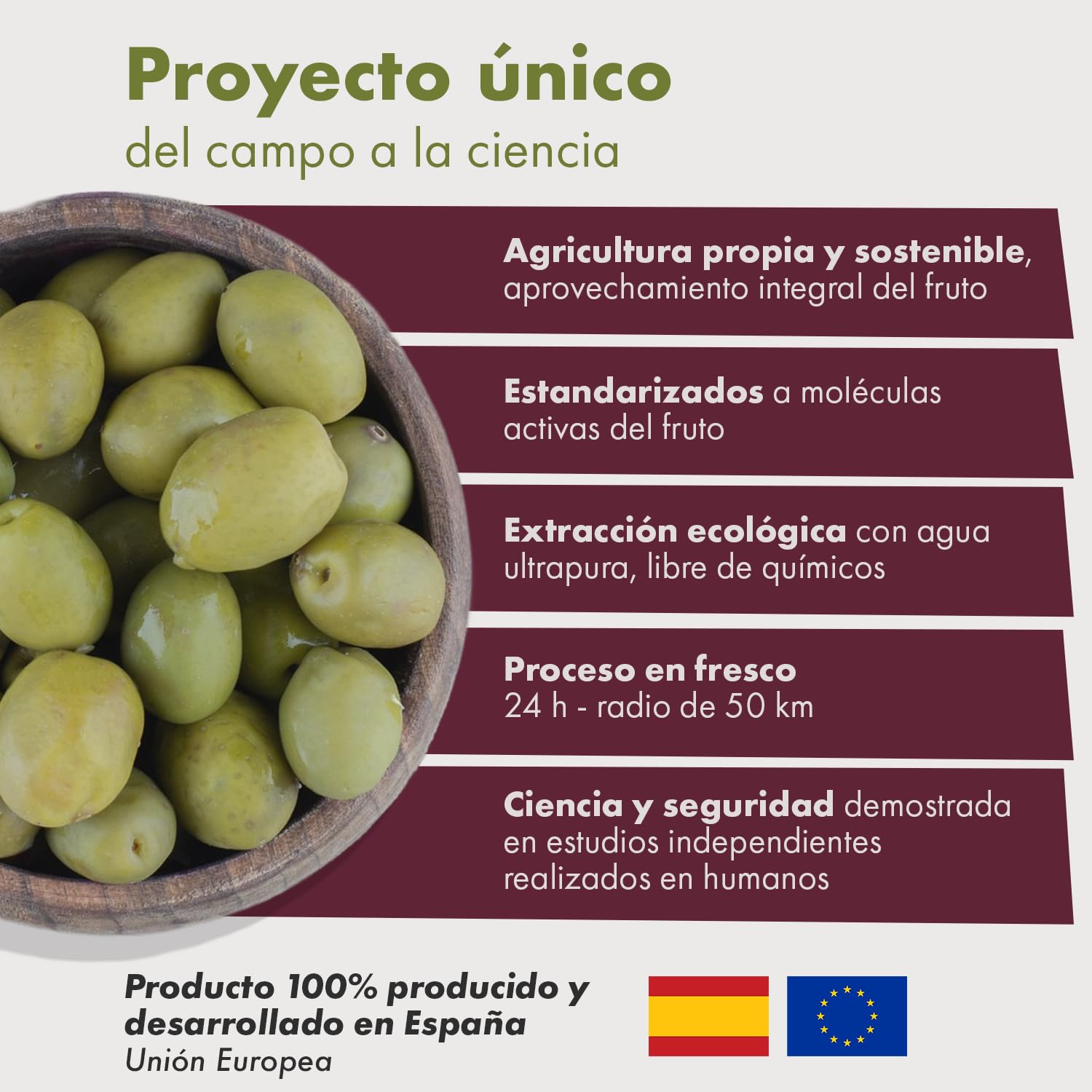 Granatum Plus - Hidroxitirosol Plus - Complemento Alimenticio - Extraído de Aceite de Oliva Virgen Extra - Suplemento Antioxidante - Bienestar General - Producido en España (2 Cajas de 60 cápsulas)