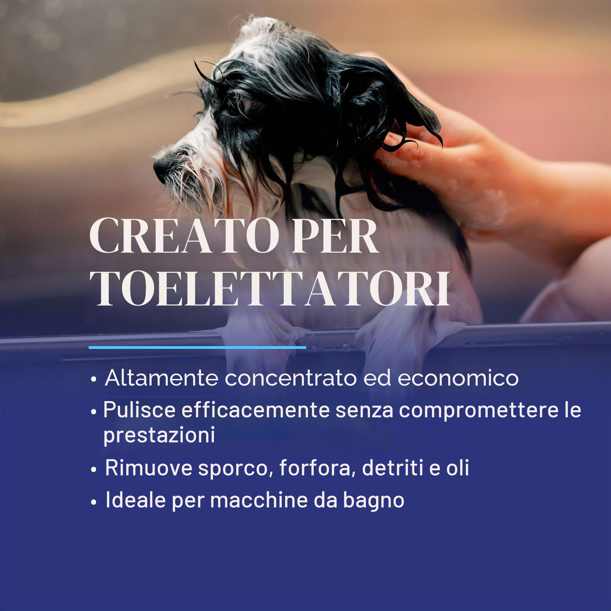 Chris Christensen SmartWash 50 Shampoo Jungle Apple 3,8L – Shampoo Ultra Concentrato 50:1 per Cani e Gatti, Profumo di Mela Esotica, Pulizia Profonda per Tutti i Tipi di Manto, Made in USA