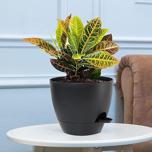 Miniatura 7 de UOUZ Macetas de riego automático de 1098 pulgadas, juego de 3 macetas de plástico con agujeros de drenaje de malla y depósito profundo para plantas