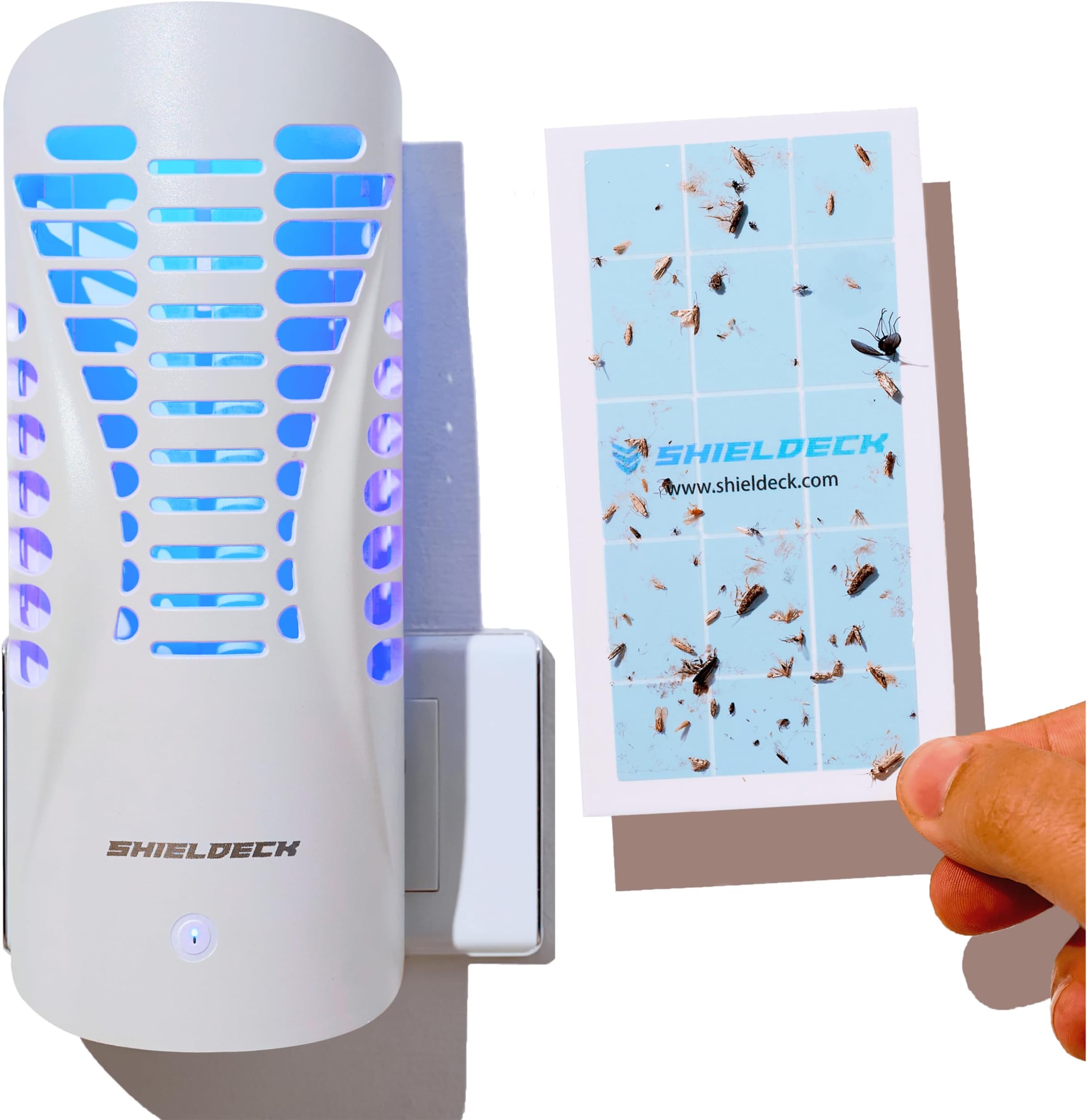 Shieldeck Fruit Fly Traps for Indoors (1 Device + 5 Refills) - Flying Insect Trap Plug in Bug Zapper Indoor, Gnat Trap and Mosquito Trap, Bug Catcher Traps with UV Light Fly Trap Indoor Bug Zapper