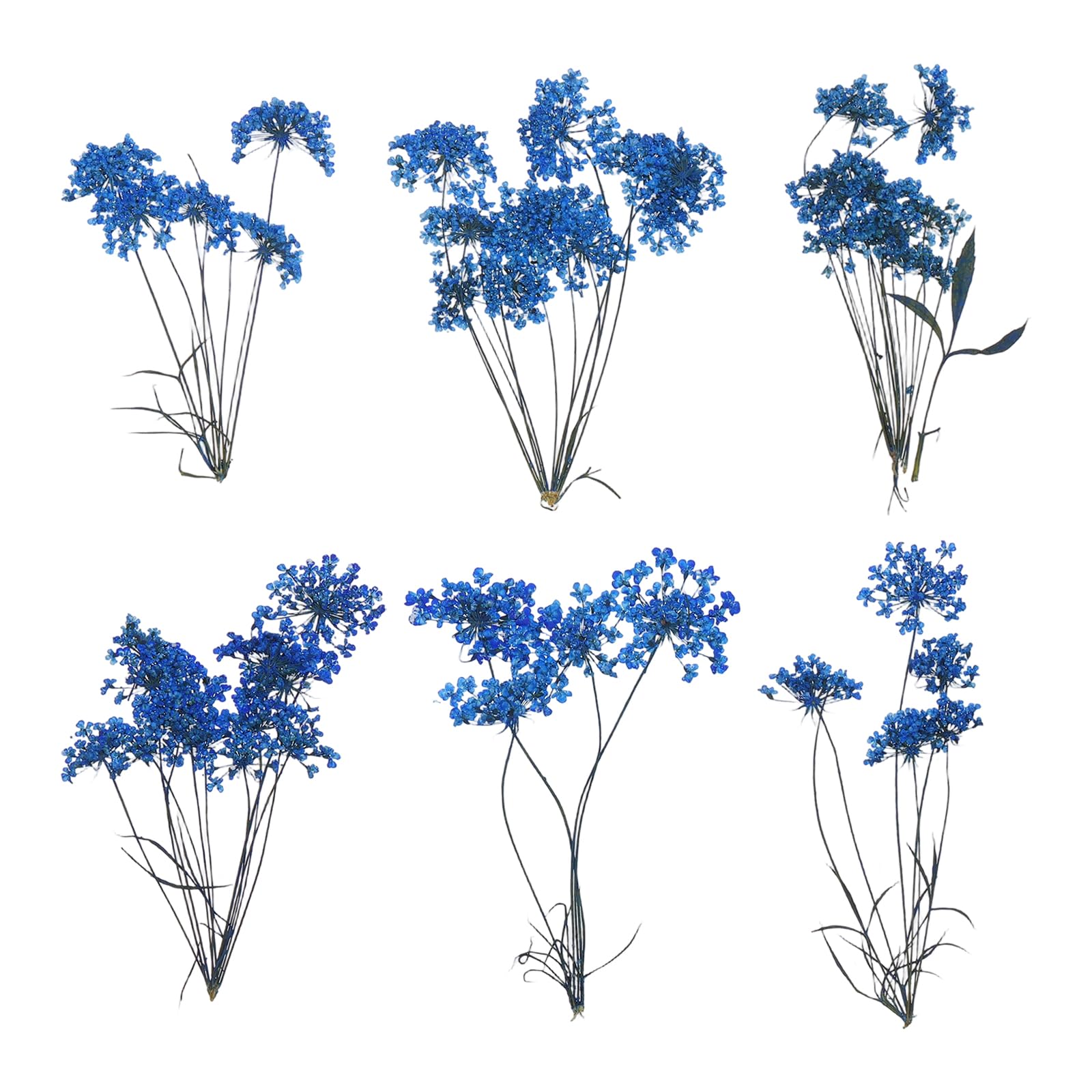 sourcing map 6 Pcs Natural Dried Pressed Flowers for Craft, Lace Real Pressed Dried Flowers Colorful Bouquets for Resin Moulds DIY Scrapbooking Candle Jewelry Making, Dark Blue