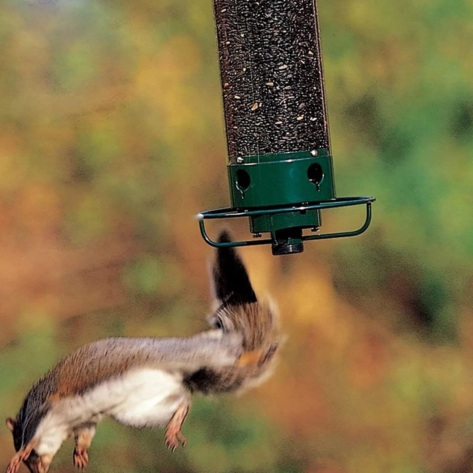 Mangiatoia per uccelli da appendere all'aperto, mangiatoia per uccelli in plastica dura di alta qualità, porte di alimentazione multiple, resistente alle intemperie(A)